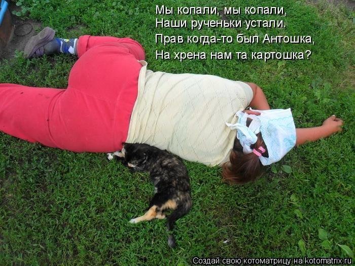 http://img.dlyakota.ru/uploads/posts/2011-07/1311952865_958665.jpg