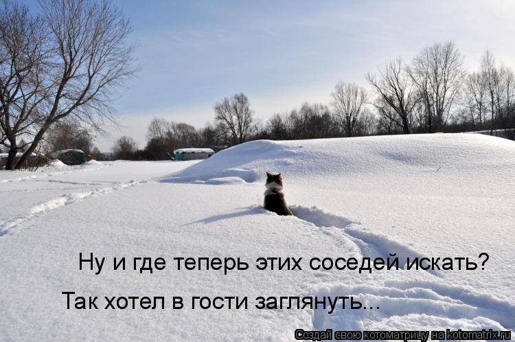 dlyakota.ru_kotiotkotomatrici_1324540059911.jpg